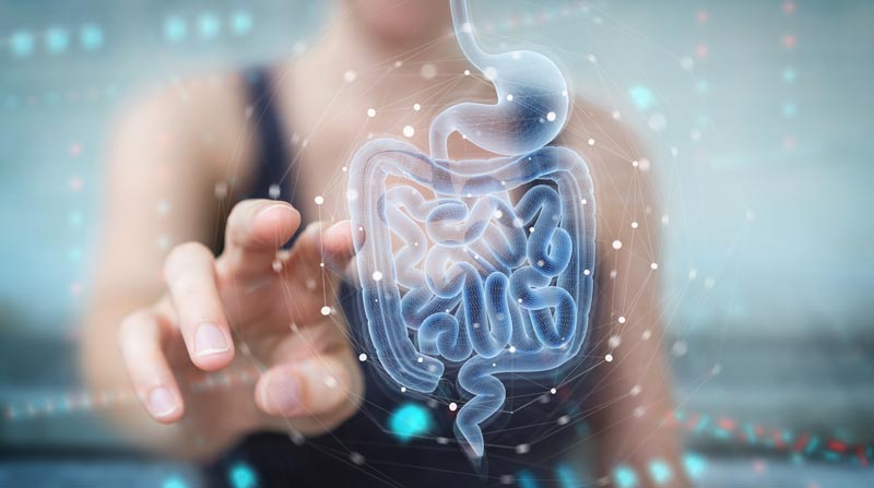 Gut Health and Microbiome